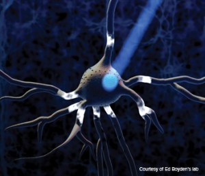 Neuron_Optogenetics